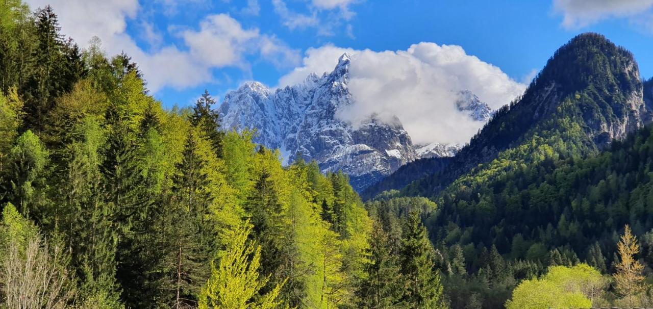 Apartment Alpska Astra Kranjska Gora Eksteriør bilde