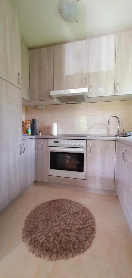 Apartment Alpska Astra Kranjska Gora Eksteriør bilde