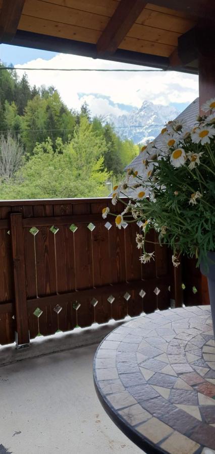 Apartment Alpska Astra Kranjska Gora Eksteriør bilde